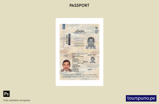 Listo para imprimir la plantilla actual del pasaporte de Brasil